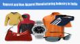 Apparel and Non-Apparel Manufacturing Industry in India PowerPoint PPT Presentation