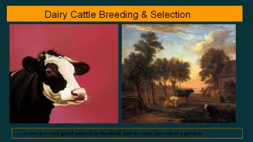 Dairy Cattle Breeding & Selection