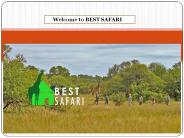 Welcome to BEST SAFARI