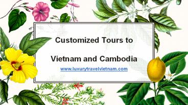 Customized Tours to Vietnam and Cambodia