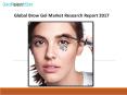 Global Brow Gel Market Research Report 2017 PowerPoint PPT Presentation
