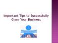 Important Tips To Successfully Grow Your Business PowerPoint PPT Presentation