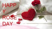 Make her special on this rose day