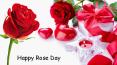 Lovely Roses Varieties For This Happy Rose Day PowerPoint PPT Presentation