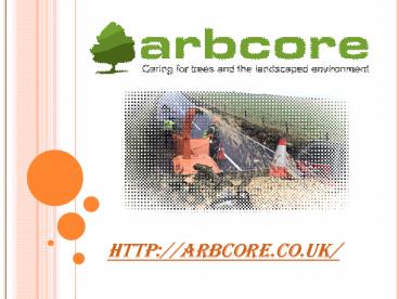 Tree Surgeons Ceredigion