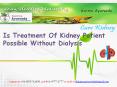 Is Treatment Of Kidney Patient Possible Without Dialysis