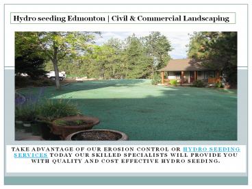 Hydro seeding services