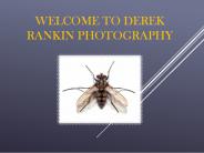 Derek Rankins (2)