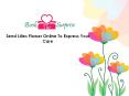 send lilies flower online to express your care PowerPoint PPT Presentation