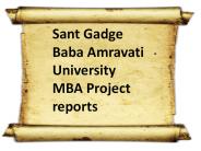 Sant Gadge Baba Amravati University MBA Project reports