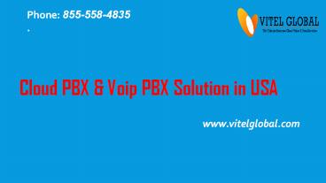 Vitelglobal communication services in USA