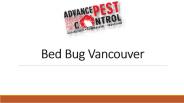 Bed Bug Vancouver