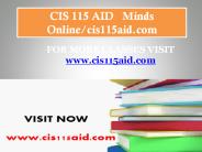 CIS 115 AID   Minds Online/cis115aid.com