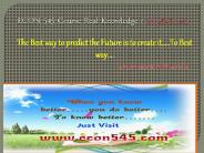 ECON 545 Course Real Knowledge / econ 545 dotcom