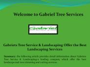 Tree Trimming Los Angeles, Tree Removal in Los Angeles