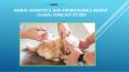 Animal Antibiotics and Antimicrobials Market-Global Forecast to 2021 PowerPoint PPT Presentation
