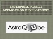 Enterprise Mobile App Development