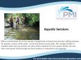 Pool Management Companies PowerPoint PPT Presentation