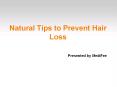 Natural Tips to Prevent Hair Loss PowerPoint PPT Presentation