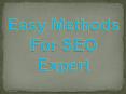Easy methods for seo expert PowerPoint PPT Presentation