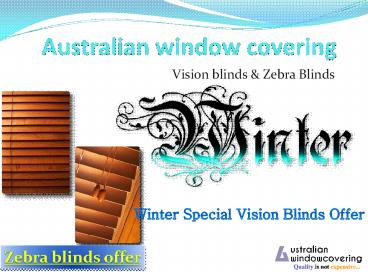 vision blinds and zebra Blinds