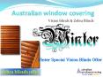 vision blinds and zebra Blinds PowerPoint PPT Presentation