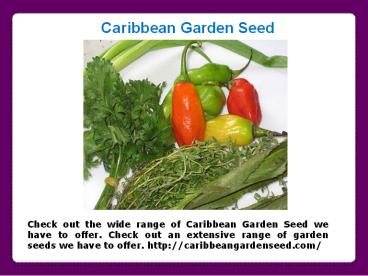 Non-GMO Seeds For Sale (1)