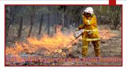 Alternative solutions for bushfire management