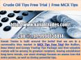Crude oil Tips Free Trial | Free MCX Tips PowerPoint PPT Presentation