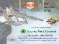 Avail Termite Treatment Dwarka Call us at 9811381458