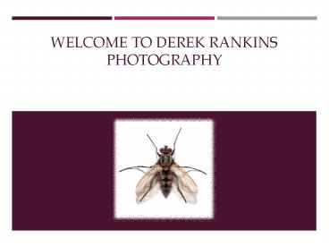 Derek Rankins photography (1)