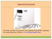 Dog Grooming Equipment