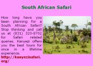 South Africa Luxury Safari