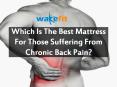 Which Is The Best Mattress For Those Suffering From Chronic Back Pain PowerPoint PPT Presentation