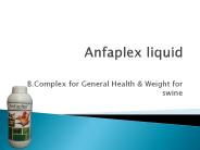hog grower health tonic