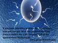 Best IVF Centre in Delhi PowerPoint PPT Presentation