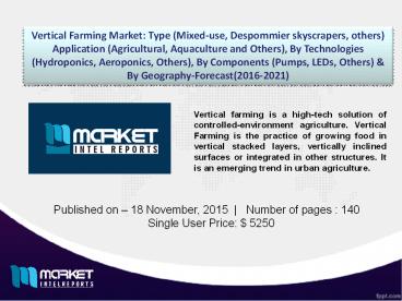 Research on Key Geographical Markets of Vertical Farming Industry