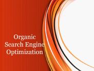 Organic Search Engine Optimization