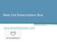 Best Cat Subscription Box - www.thewhiskerbox.com (2) PowerPoint PPT Presentation