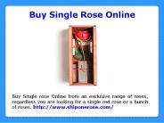 Send a Single Rose
