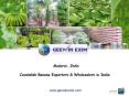 Cavendish Banana Exporters in india PowerPoint PPT Presentation
