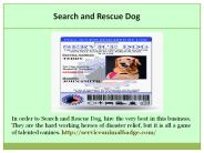 Service Animal Identification