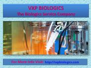 Monoclonal Antibody Production Services Are Performed By VxP Biologics