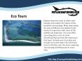 Fishing in panama city beach PowerPoint PPT Presentation