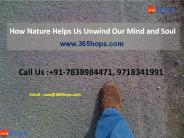 How Nature Helps Us Unwind Our Mind and Soul