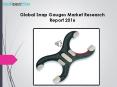 Global Snap Gauges Market Research Report 2016 PowerPoint PPT Presentation