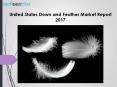 United states down and feather market report 2017 PowerPoint PPT Presentation