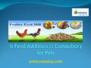 Is Feed Additives is Compulsory for Pets