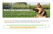 Best remote training dog collar