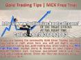 Gold Trading Tips | Mcx Commodity Tips Free Trial PowerPoint PPT Presentation